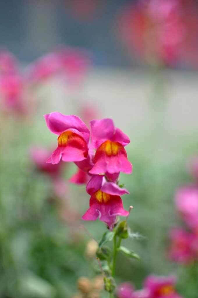 Why Spring Is the Best Time to Sell Your Central Ohio Home