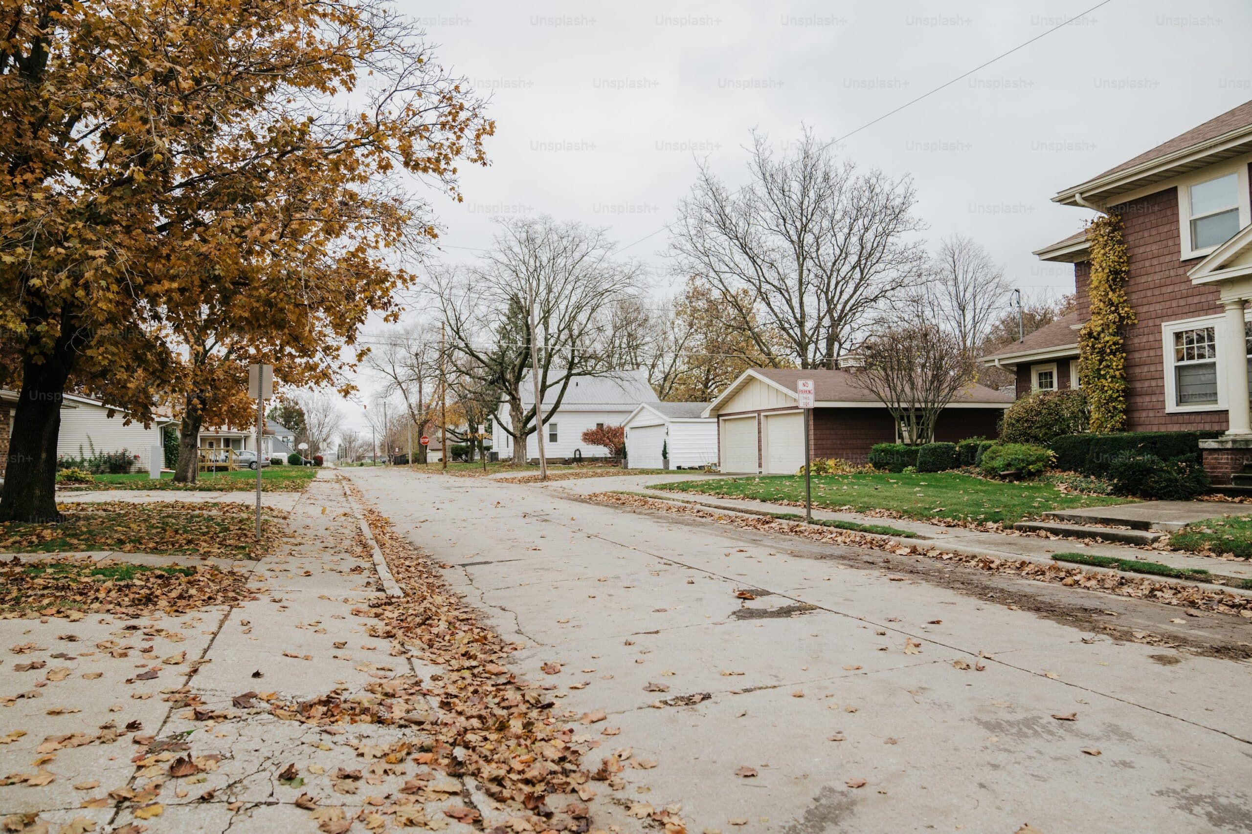 Leaf-covered street with houses in Eastmoor, Columbus Ohio